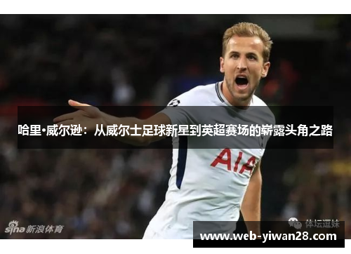 哈里·威尔逊：从威尔士足球新星到英超赛场的崭露头角之路