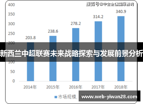 新西兰中超联赛未来战略探索与发展前景分析
