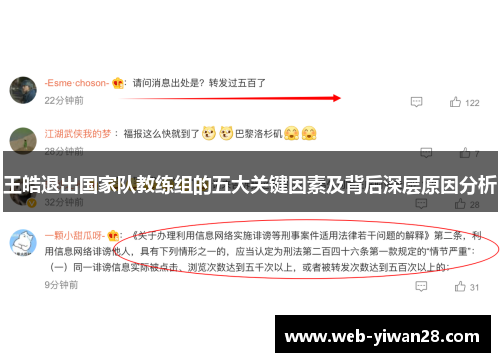 王皓退出国家队教练组的五大关键因素及背后深层原因分析