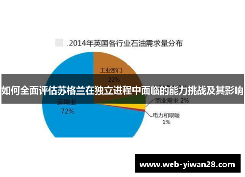 如何全面评估苏格兰在独立进程中面临的能力挑战及其影响